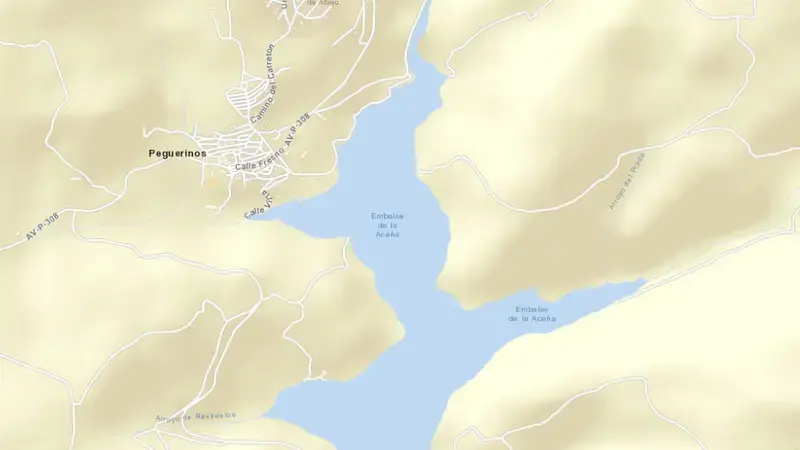 Road map of Aceña reservoir, Tajo, Spain