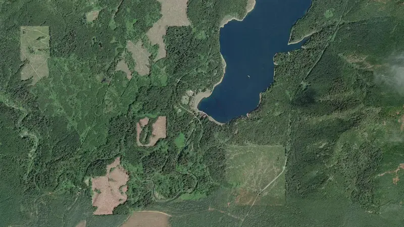 Satellite view of Wynoochee Lake reservoir, Washington, United States