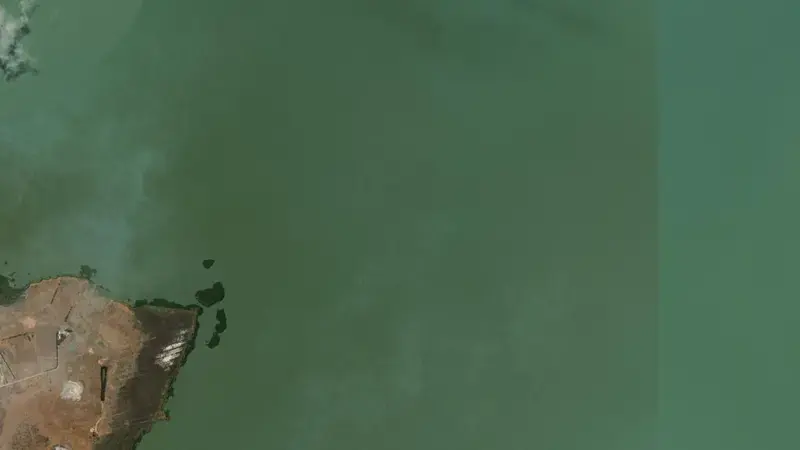 Satellite view of Lake Albert reservoir, South Australia, Australia