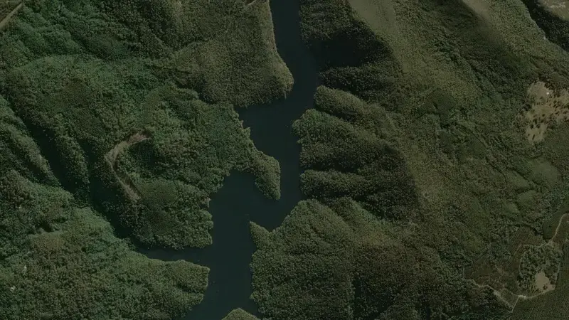 Satellite view of Lake Cethana reservoir, Tasmania, Australia