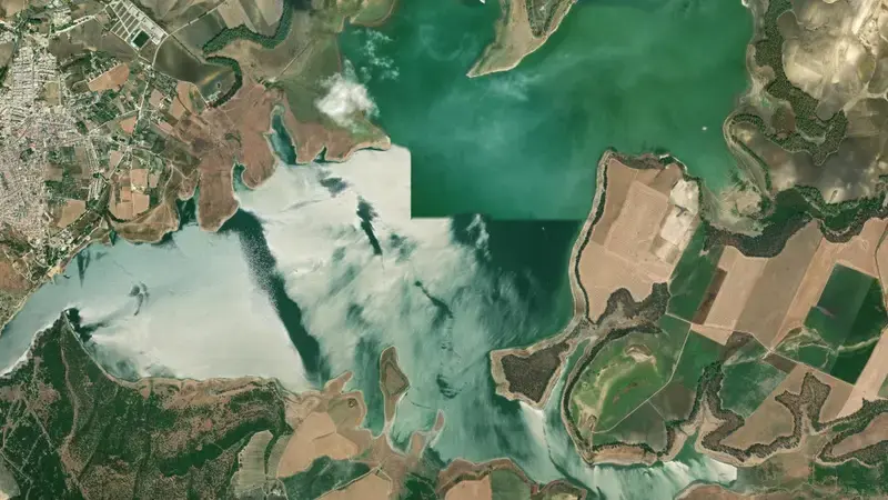 Satellite view of Bornos reservoir, Cádiz, Andalusia, Spain