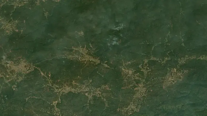 Satellite view of Mandira Dam reservoir, Odisha, India