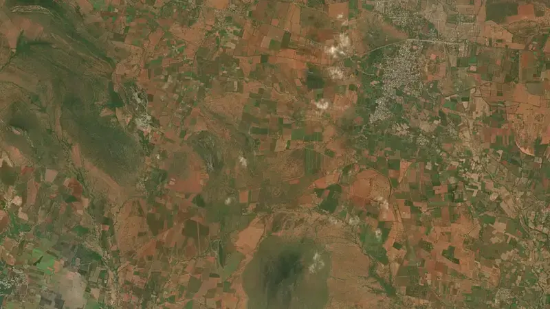 Satellite view of Somasila Dam reservoir, Andhra Pradesh, India