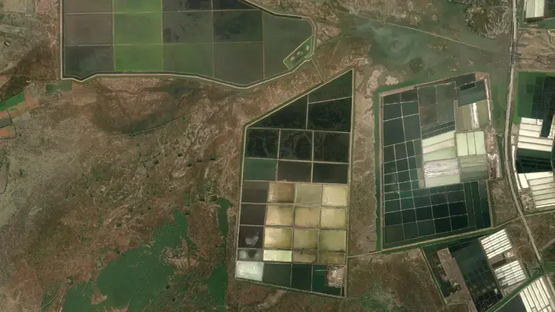 Satellite view of Sukhi Dam reservoir, Gujarat, India