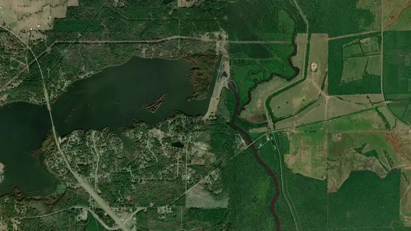 Satellite view of Caddo Lake reservoir, Louisiana, United States