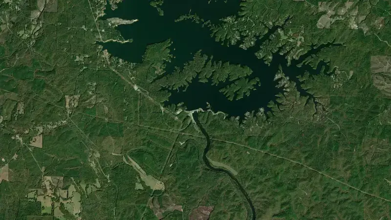 Satellite view of R.L. Harris Dam reservoir, Alabama, United States