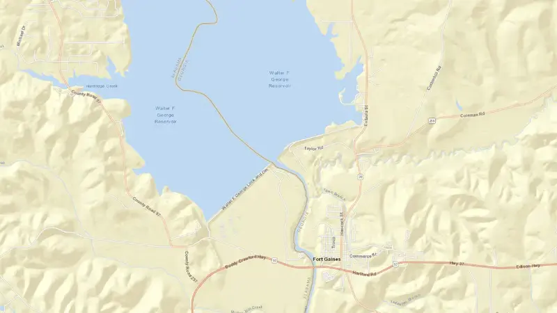 Road map of Walter F George reservoir, Alabama, United States